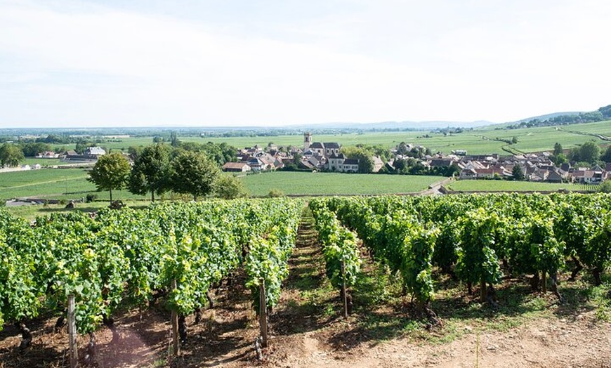 Image 6: Excursion privée d'une journée en Bourgogne : Côte DE Beaune & Côte...