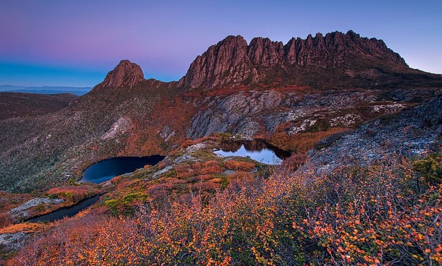 Image 4: Cradle Mountain Day Trip from Hobart with Scenic Stops