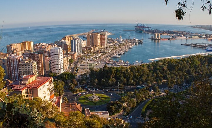 Image 2: Ronda y Excursión privada al campo andaluz desde Málaga