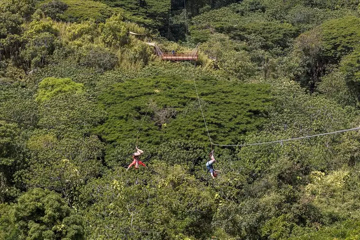 Kauai AdrenaLine Zipline Adventure – with Kauai's LONGEST Zipline