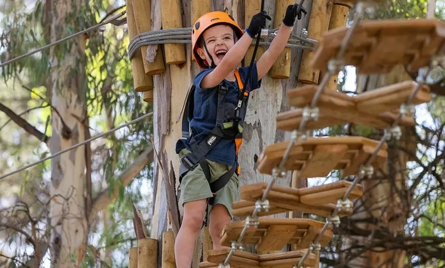 Image 1: Aerial Fun & Ziplining for Our Littlest Adventurers in Salisbury