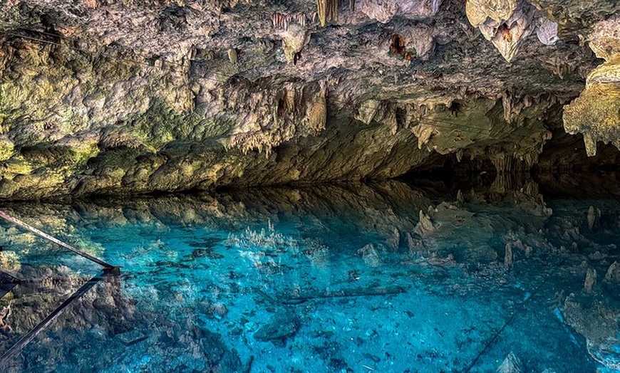 Image 8: Tulum Ruins, Sea Turtles & Cenote Swim Adventure Tour