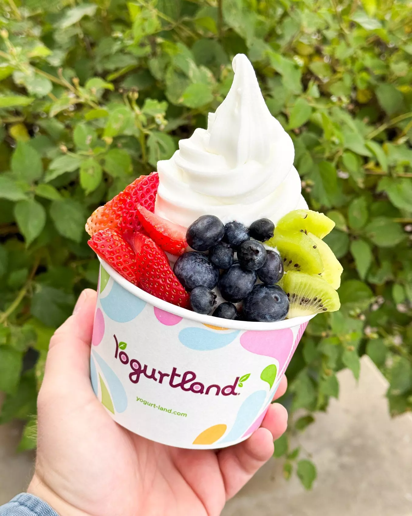 $10 For $20 Worth Of Frozen Yogurt