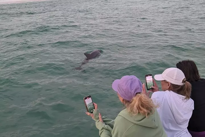 Private Guided Sunset and Eco Tour up to 6 Passengers