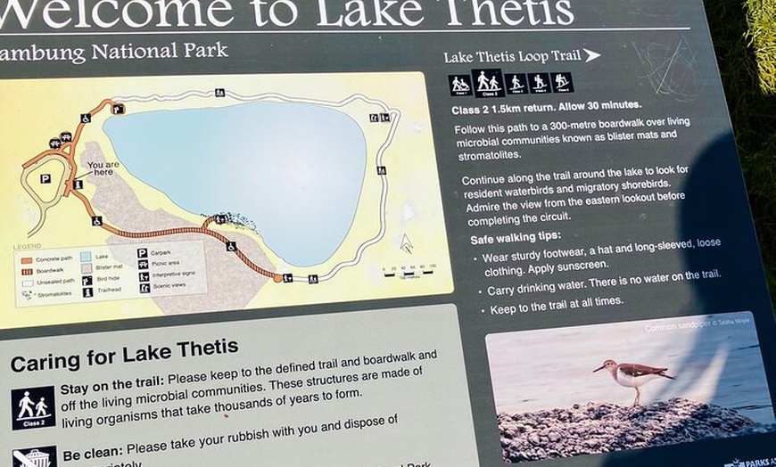 Image 9: Turquoise Coast and Pinnacles Desert Private day Tour from Perth