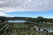 Visite guidée du château et des jardins de Versailles EN ESPAGNOL - Image 7