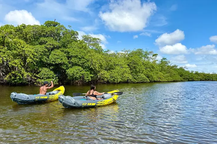 Fort Lauderdale: Kayak/SUP on Mangroves w/ Snacks & Drinks