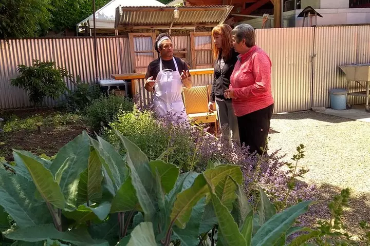 Healdsburg Wine and Food Pairing Guided Walking Tour