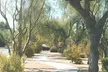 Scottsdale Self-Guided Walking Tour: Art & Desert Inspiration - Second Medium