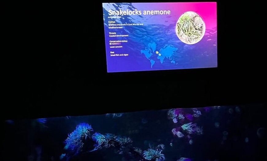 Image 14: Luxury Private Tour in London