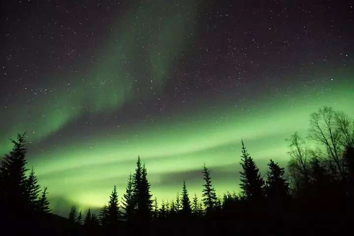 Arctic Circle and Northern Lights Tour from Fairbanks