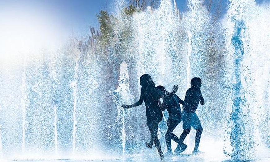 Image 10: Acuario de Palma con autobús de vuelta desde Port Alcudia