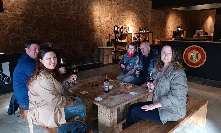 Image 3: Excursión de un día a Haro, Laguardia y dos bodegas de Rioja desde ...