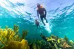 Private Boat Ride & Snorkeling Tour In Puerto Morelos - Second Medium