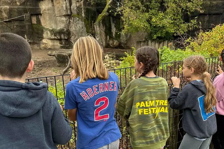 Lincoln Park Zoo Adventure