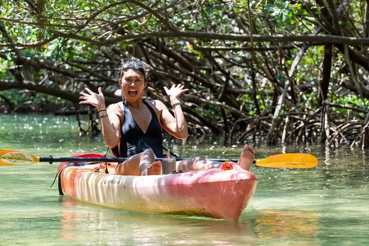 Sarasota Mangrove Tunnel Guided Kayak Adventure
