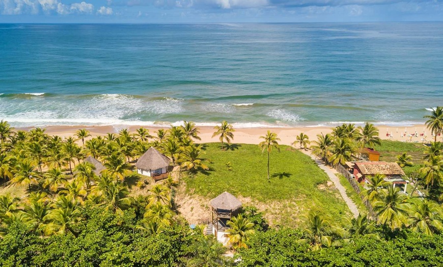 Image 17: ✈ BRÉSIL | De Rio à Salvador de Bahia - Brésil : entre Nature et Cu...