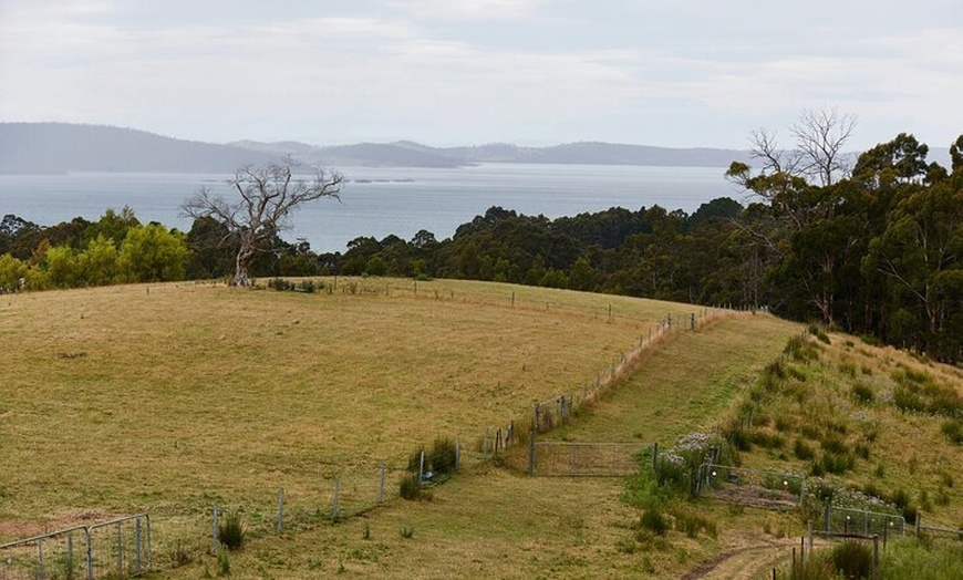 Image 3: Spirited Alchemist Experience