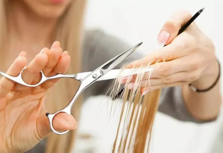 $67.50 For A Hair Color Retouch (Reg $135)