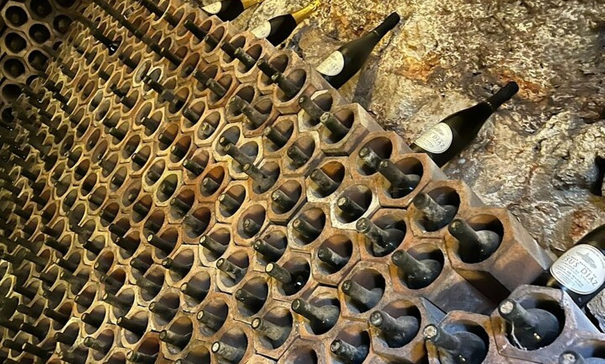 Image 17: Visita Guiada a Bodegas Rurales de Madrid con Cata de Vinos