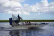Everglades Small Group Express from Fort Lauderdale +Airboat Ride - Second Medium