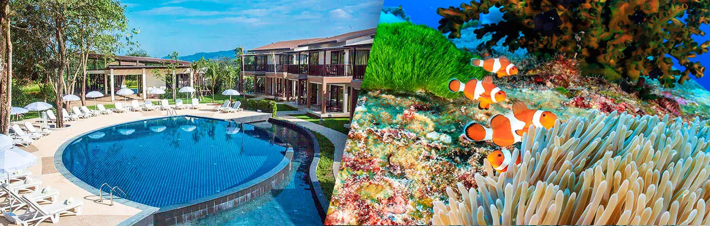 ✈ THAILAND | Khao Lak - The Leaf on The Sands by Katathani - SHA Extra Plus mit einem Tagesausflug zu den Similan-Inseln 4*, 6 Nächte - Außenpool - Primary Image