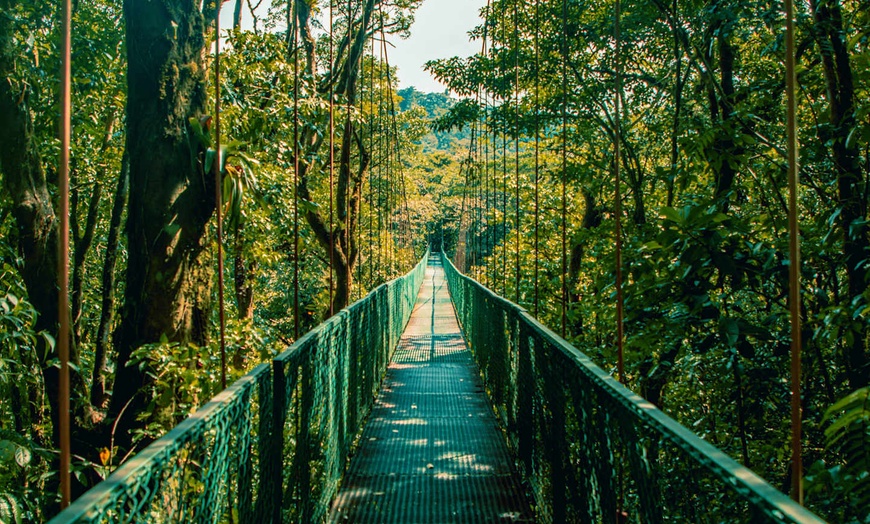 Image 22: ✈ COSTA RICA | San José - Fuga verde in Costa Rica - Viaggio on the...