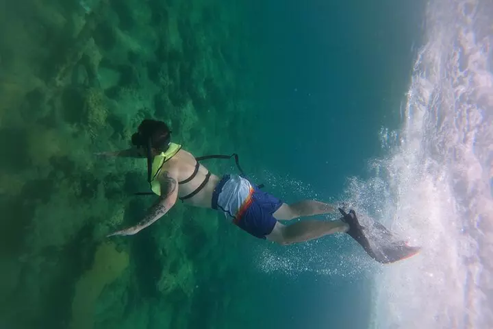 Public Guided Snorkel Tour of Fort Lauderdale Reefs