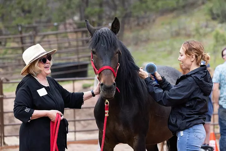 Wild Mustang Experience Near Colorado Springs