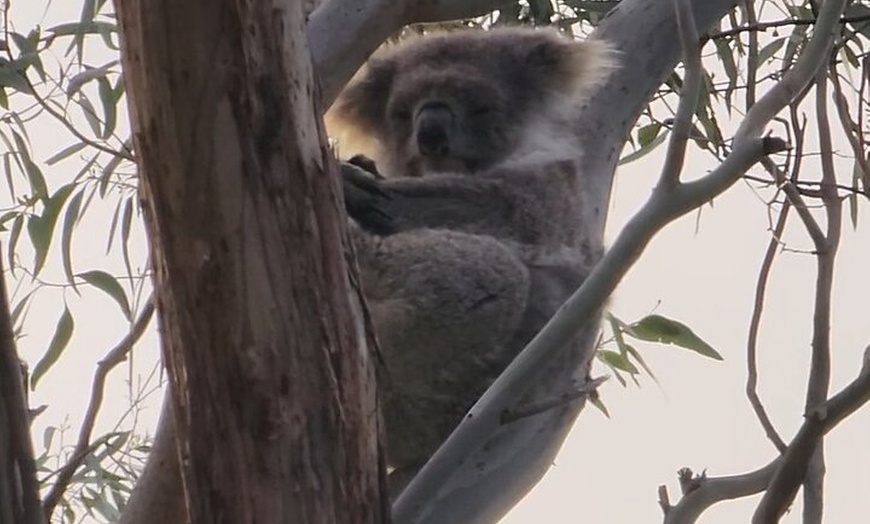 Image 2: Premium 2 Day Kangaroo Island Minibus Tour from Adelaide