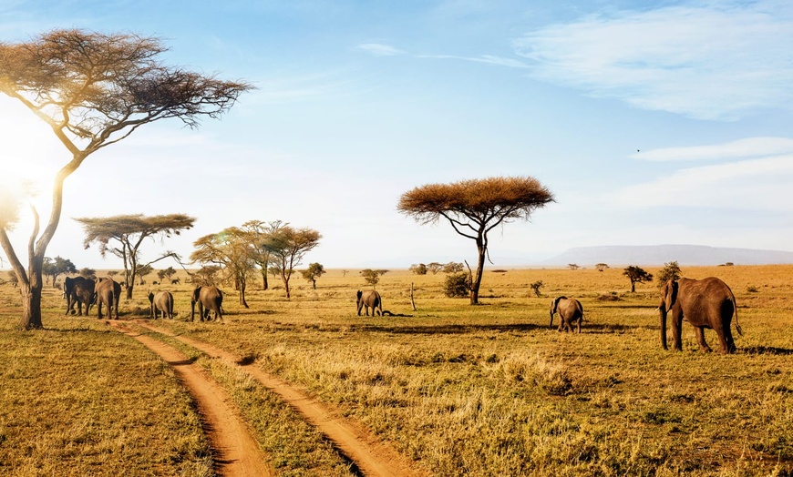 Image 2: ✈ TANZANIA | From Kilimanjaro to Zanzibar - Safari in the savannah ...