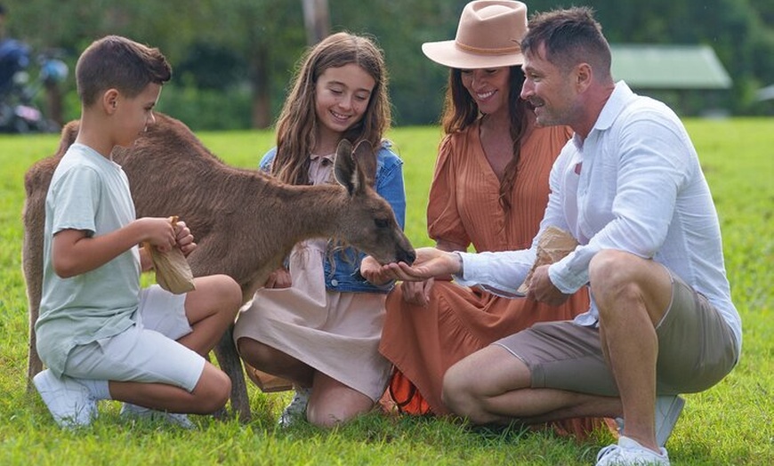 Image 11: Brisbane Private Shore Excursions with Lone Pine Koala Sanctuary