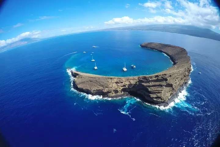 Molokini Snorkeling Adventure Aboard Calypso From Ma'alaea Harbor