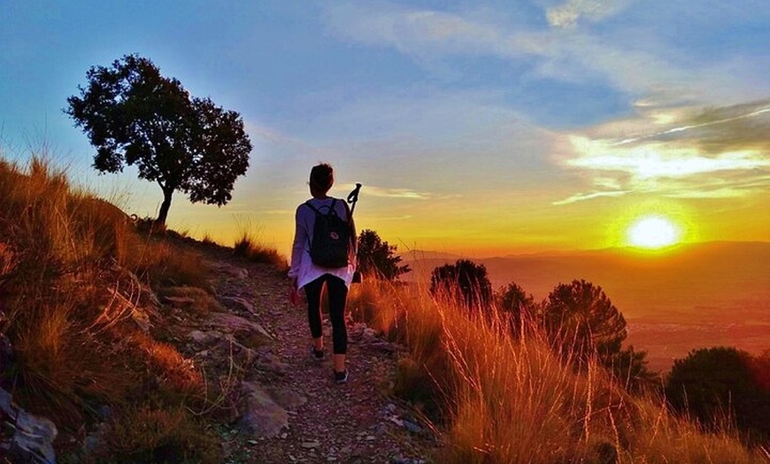 Image 1: NUEVO:Sunset Hike & Summit Sierra Nevada - Tour privado con cachorro