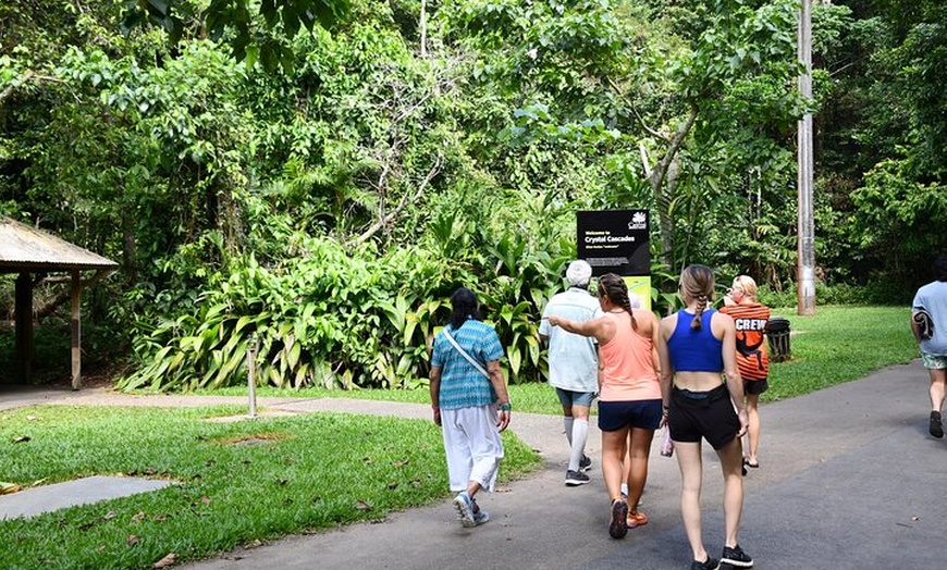 Image 12: Explorer Tour by Cairns Waterfalls