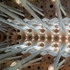 Image 6: Tour en grupo pequeño por la Sagrada Familia