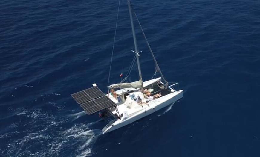 Image 7: Excursiones ecológicas en Catamarán en Gran Canaria