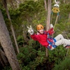 Image 6: Launceston: Hollybank Treetops Adventure - Zipline Tours