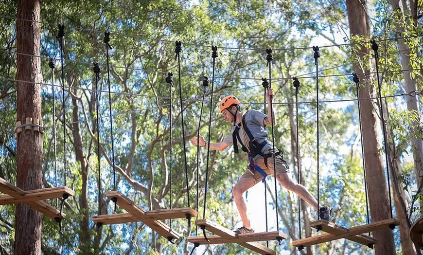 Image 2: Treetops Adventure The Hills - Tree Ropes Course