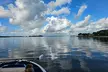 1 Hour Private Dolphin and Nature Tour - Second Medium