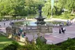 Best of Central Park Tours by Pedicab - Stories & Photos - Second Medium