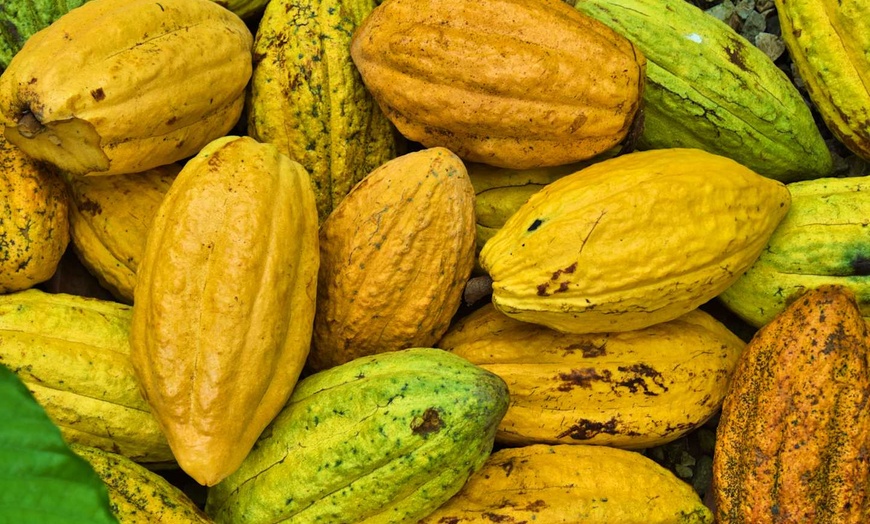 Image 5: ✈ REPUBBLICA DOMINICANA | Punta Cana - Il meglio della Repubblica D...