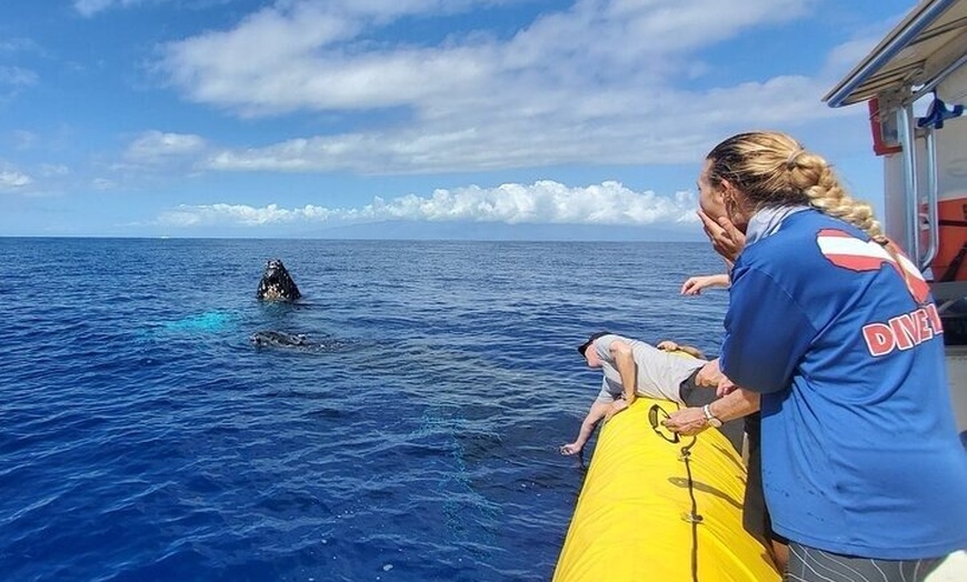 Image 17: Maui Whale Watching: 2-Hour Small Group Raft Tour from Lahaina