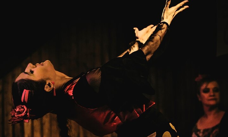 Image 6: Espectáculo Flamenco local con cena en El Cortijo