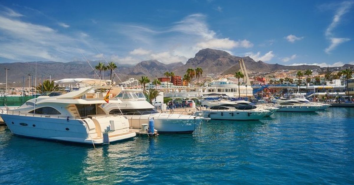Tour privado de avistamiento de ballenas en Costa Adeje, Tenerife