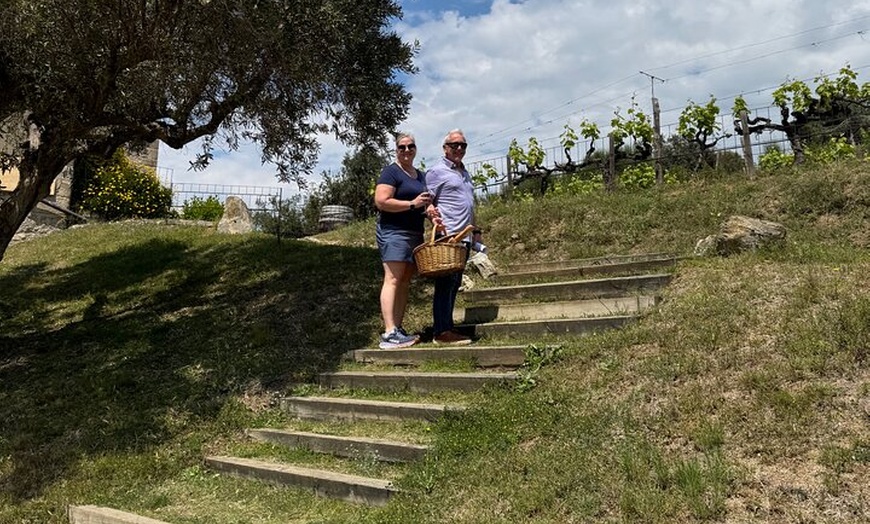 Image 17: Gaudí Unveiled & Premium Wine Escape - Tour Privado