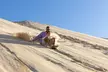 Port Stephens Dolphin Cruise Koalas Sandboarding Japanese Tour - Image 2