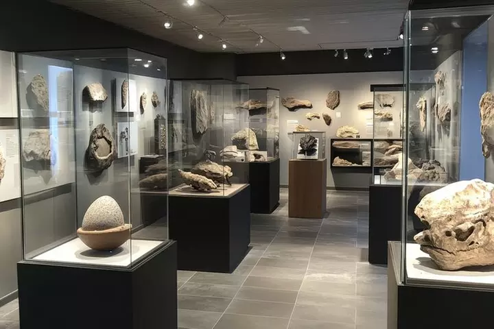 Washington DC Smithsonian Natural History Private Tour