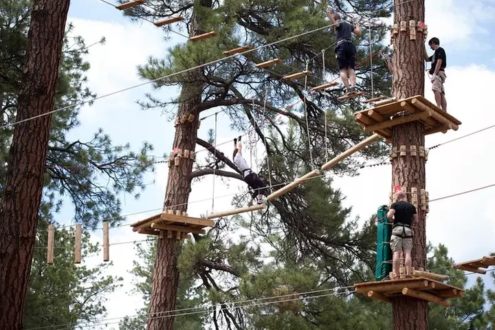 Flagstaff Extreme Adventure Course-Adult Course