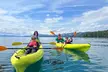 Scenic and Wild Nature tour in South Lake Tahoe - Second Medium